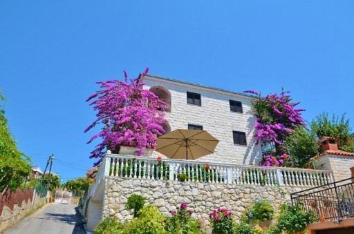 Knez Trogir