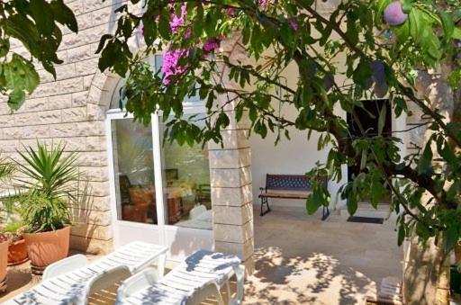 Knez * Trogir