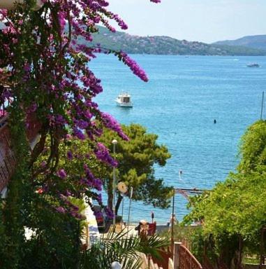Knez * Trogir